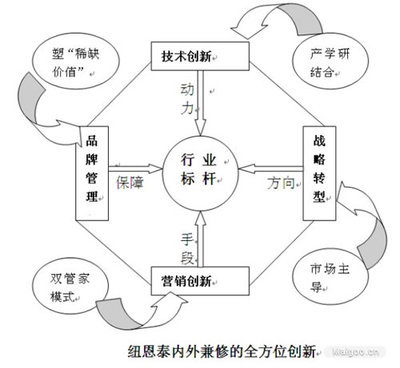 王者之師 論紐恩泰空氣能企業的縱橫之道
